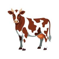 Charming Cow Realistic Color Illustration on a White Background vector