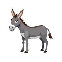 Charming Donkey Realistic Color Illustration on White Background vector