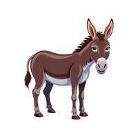 Beautiful Donkey Realistic Color Illustration on White Background vector