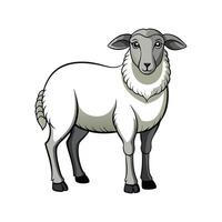 Adorable Dorper Sheep Realistic Color Illustration vector