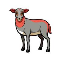 Beautiful Dorper Sheep Realistic Color Illustration vector