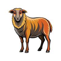 Charming Dorset Sheep Realistic Color Illustration vector