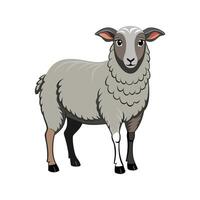 Charming Dorset Sheep Colorful Realistic Illustration vector