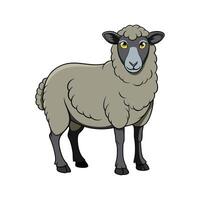 Beautiful Dorset Sheep Realistic Color Illustration. vector