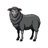 Vivid East Friesian Sheep Realistic Color Illustration vector