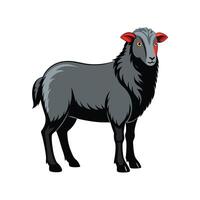 Adorable East Friesian Sheep Realistic Color Illustration vector