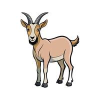 Beautiful Goat Realistic Color Illustration with Outline vector
