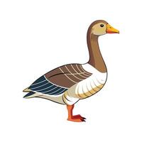 Vivid Goose Realistic Color Illustration with Outline vector