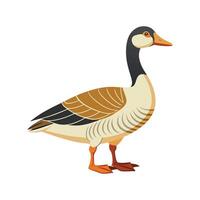 Charming Goose Realistic Color Illustration with Outline. vector