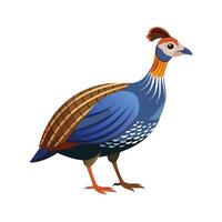 Beautiful Guinea Fowl Realistic Color Illustration on a White Background vector