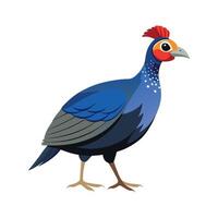 Vivid Guinea Fowl Realistic Color Illustration on a White Background vector