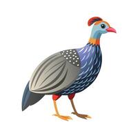 Charming Guinea Fowl Realistic Color Illustration on a White Background vector