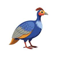 Charming Guinea Fowl Realistic Color Illustration with Outline vector