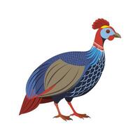 Delightful Guinea Fowl Realistic Color Illustration with Outline vector