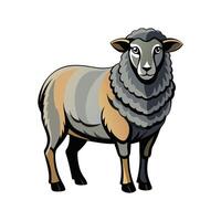 Charming Hampshire Sheep Realistic Color Illustration vector