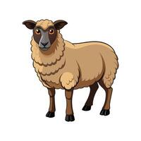 Charming Hampshire Sheep Realistic Color Illustration. vector