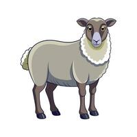Beautiful Hampshire Sheep Realistic Color Illustration vector