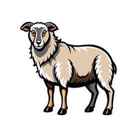 Charming Hampshire Sheep Realistic Color Illustration Design, vector