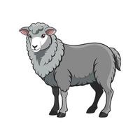 Charming Herdwick Sheep Realistic Color Illustration vector