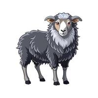 Beautiful Herdwick Sheep Realistic Color Illustration vector