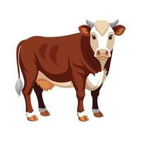 Beautiful Hereford Cow Realistic Color Illustration on White vector