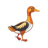 Vivid Indian Runner Duck Realistic Color Illustration vector