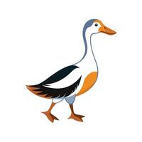 Stunning Indian Runner Duck Realistic Color Illustration vector
