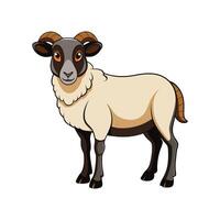 Lifelike Jacob Sheep Realistic Color Illustration with Outline vector