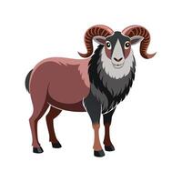 Charming Jacob Sheep Realistic Color Illustration with Outline Design vector