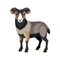 Stunning Jacob Sheep Realistic Color Illustration with Outline. vector