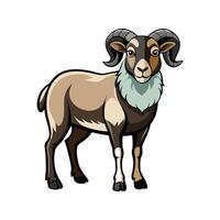 Charming Jacob Sheep Realistic Color Illustration with Outline. vector