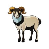 Beautiful Jacob Sheep Realistic Color Illustration with Outline vector