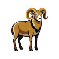 Charming Katahdin Sheep Realistic Color Illustration vector