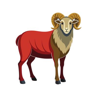Beautiful Katahdin Sheep Realistic Color Illustration