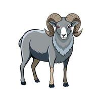 Stunning Katahdin Sheep Realistic Color Illustration vector