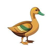 Beautiful Khaki Campbell Duck Realistic Color Illustration vector