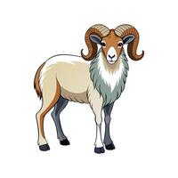 Charming Katahdin Sheep Realistic Color Illustration. vector