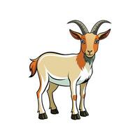 Beautiful Kiko Goat Realistic Color Illustration with Outline vector