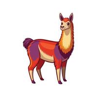 Vivid Llama Realistic Color Illustration on White Background vector