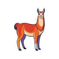 Charming Llama Realistic Color Illustration with Outline vector