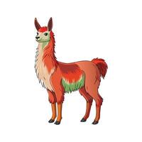 Stunning Llama Realistic Color Illustration with Outline vector
