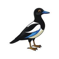 Charming Magpie Duck Realistic Color Illustration with Outline vector
