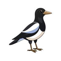 Vivid Magpie Duck Realistic Color Illustration with Outline vector