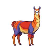 Vivid Llama Realistic Color Illustration with Outline vector