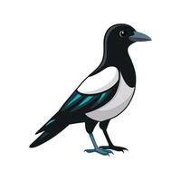 Beautiful Magpie Duck Realistic Color Illustration with Outline vector