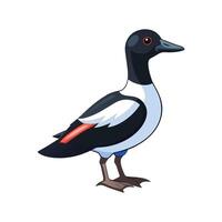 Stunning Magpie Duck Realistic Color Illustration with Outline vector