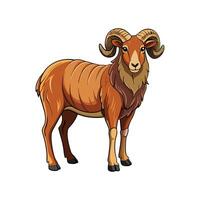 Vivid Manx Loaghtan Sheep Realistic Color Illustration vector