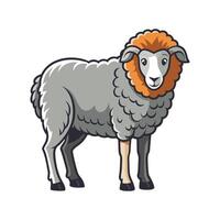 Vivid Merino Sheep Realistic Color Illustration with Outline. vector