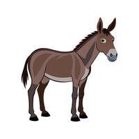 Charming Mule Realistic Color Illustration on White Background vector