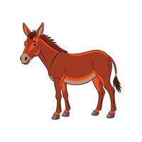 Beautiful Mule Realistic Color Illustration with Outline vector